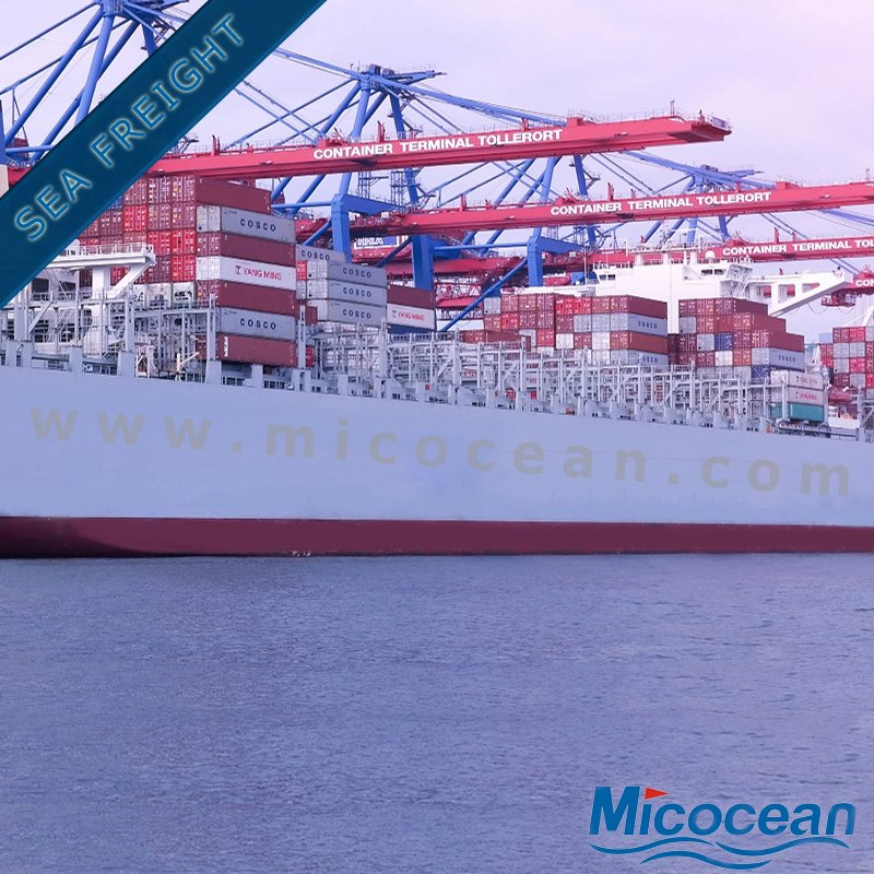 Professional Sea Freight Forwarder Shipping From Chinashanghai/Guangzhou/Shenzhen/Ningbo/Tianjin to Europe, USA, Canada, Australia, Japan, Korea