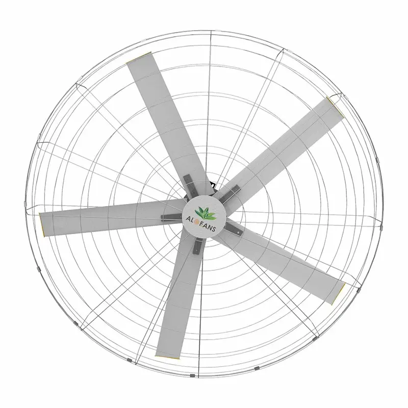 Discount Livestock Wall Fans - Durable and Efficient Cooling Solutions for Animal Comfort Factory, Companies