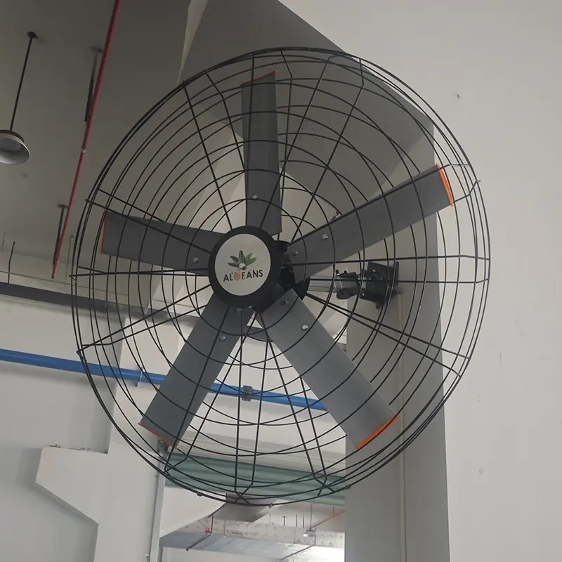 Discount Livestock Wall Fans - Durable and Efficient Cooling Solutions for Animal Comfort Factory, Companies