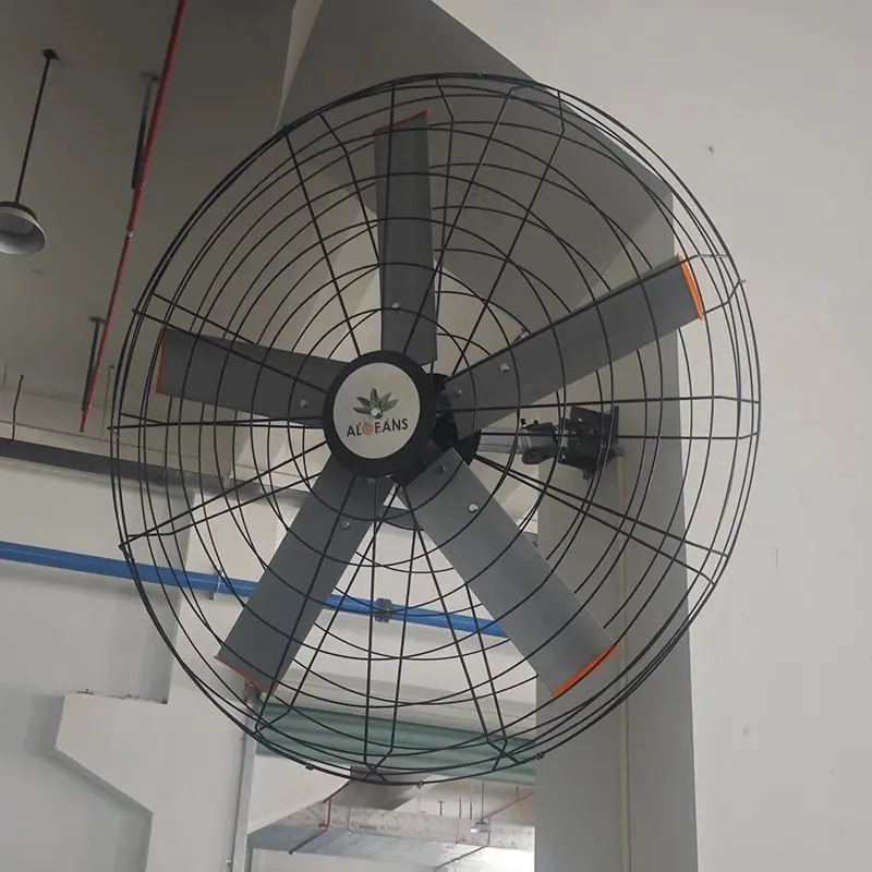 Cheap Industrial Wall Fans - Durable and Efficient Airflow Solutions for Industrial Spaces Manufacturers, Company