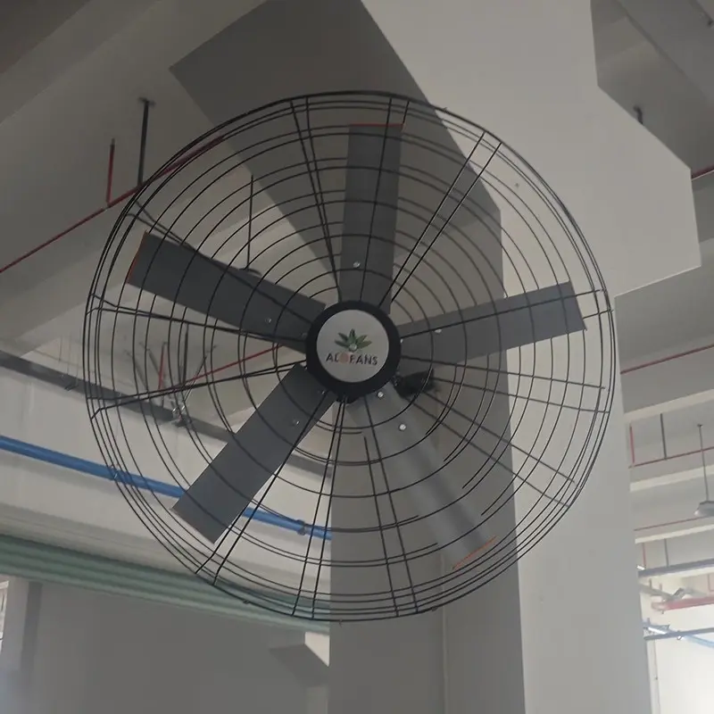 OEM Fitness Wall Fans - Efficient Airflow Solutions for Enhanced Gym and Workout Comfort Pricelist, Quotes