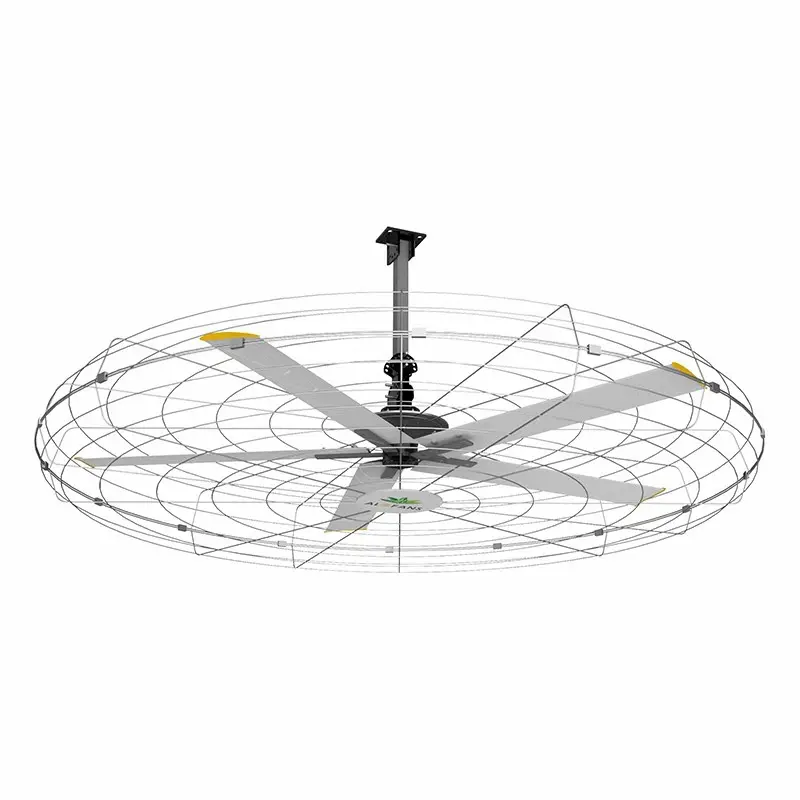 Cheap Industrial Wall Fans - Durable and Efficient Airflow Solutions for Industrial Spaces Manufacturers, Company