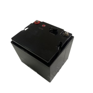 OEM Deep Cycle Replace Lead Acid Battery LiFePO4 Lithium Iron Phosphate Battery Pack 12V 36Ah Manufacturer, Products