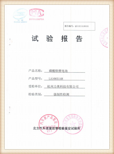 Test Report 11