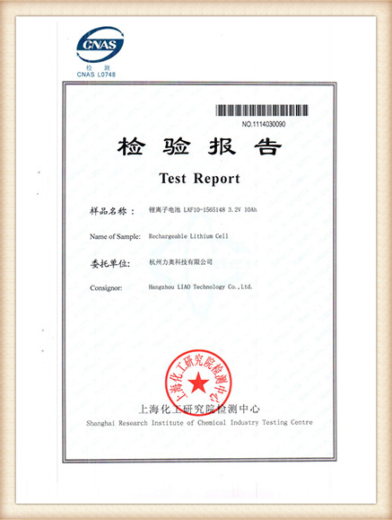 Test Report 12