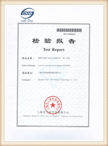 Test Report 10