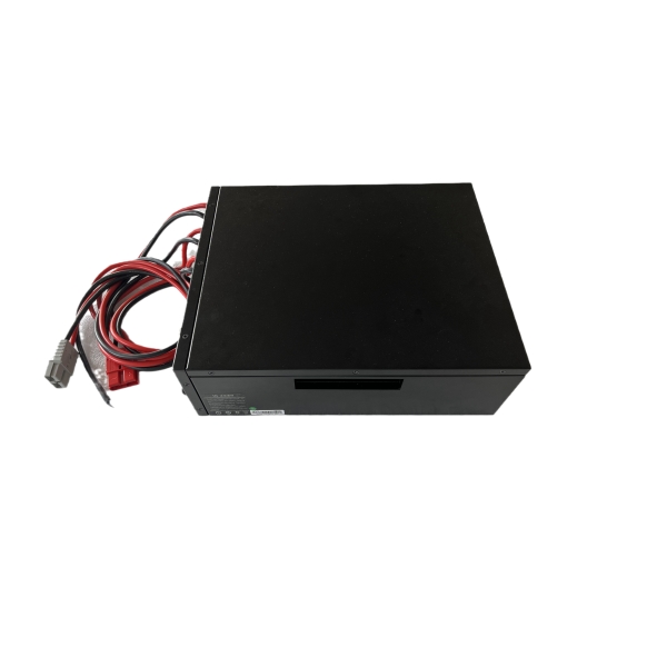OEM 48V Custom Service 100Ah Lifepo4 Battery Pack for Forklift/Touring Car Manufacturer, Factories