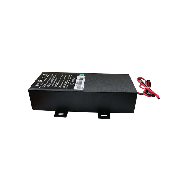 Best 6V/10Ah Small Size Lithium-ion Battery for Electric Balance Use LiFepo4 Battery Manufacturer, Factories