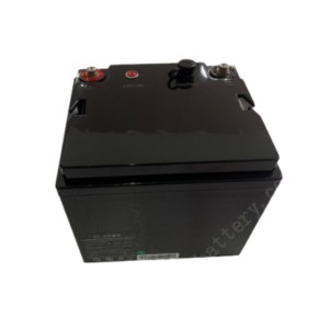 OEM Deep Cycle Replace Lead Acid Battery LiFePO4 Lithium Iron Phosphate Battery Pack 12V 36Ah Manufacturer, Products