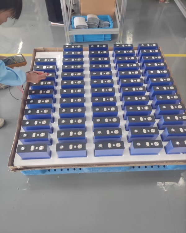 LiFePO4 Battery Cell