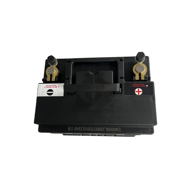 Best 24V 20Ah LiFePO4 Battery Pack Replacement Lead Acid Battery Factory, Product