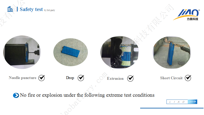 Safety Testing and Standards