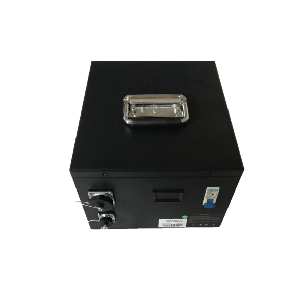 Wholesale OEM ODM 36V 30Ah Lifepo4 for Bumper Car Tour Bus Sightseeing Car