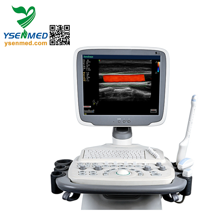 Medical Equipment Sonoscape S11V 4D Color Doppler Ultrasound System