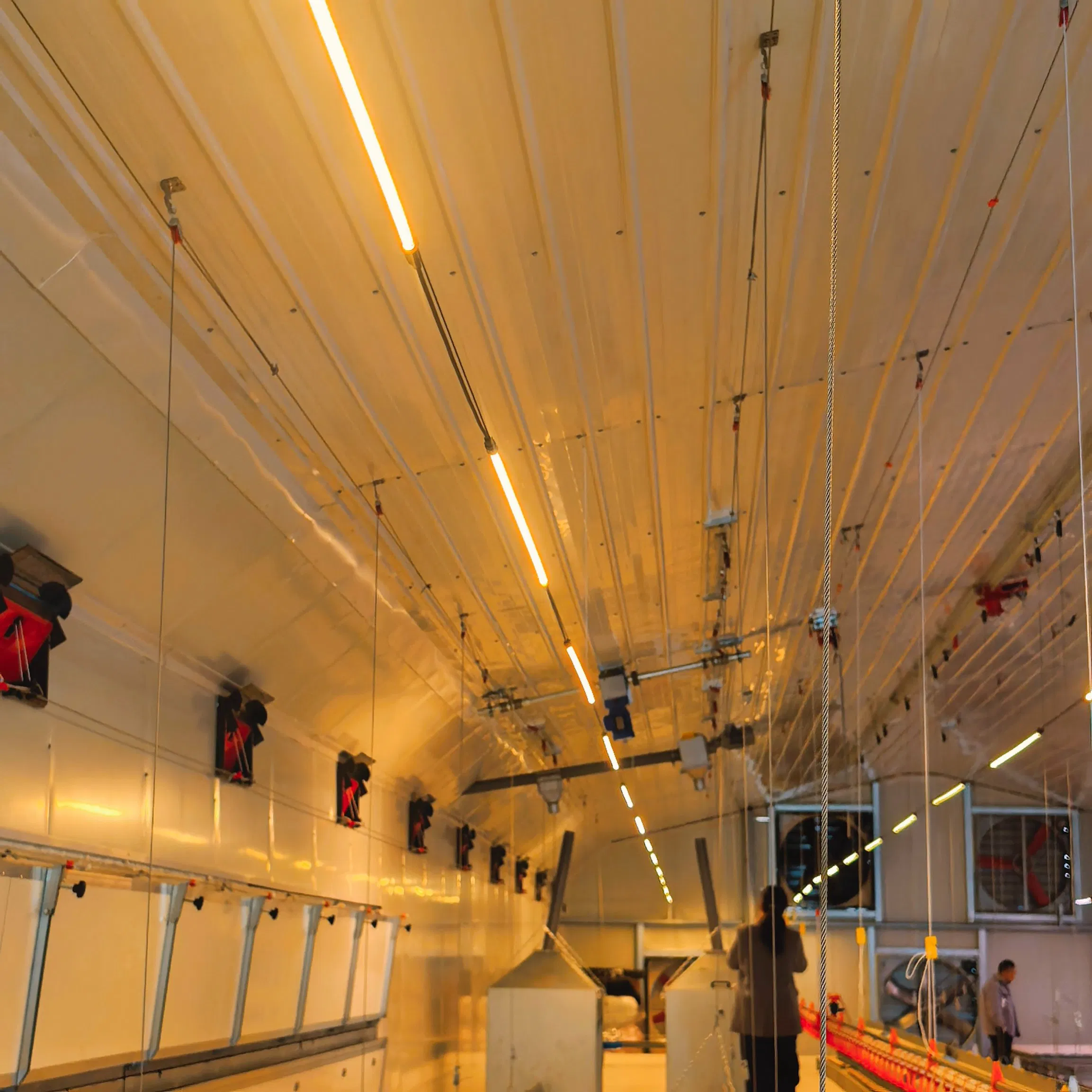 Poultry Farms Chicken Coop Chicken Floor Nest Poultry Mesh Floor Rearing Equipment