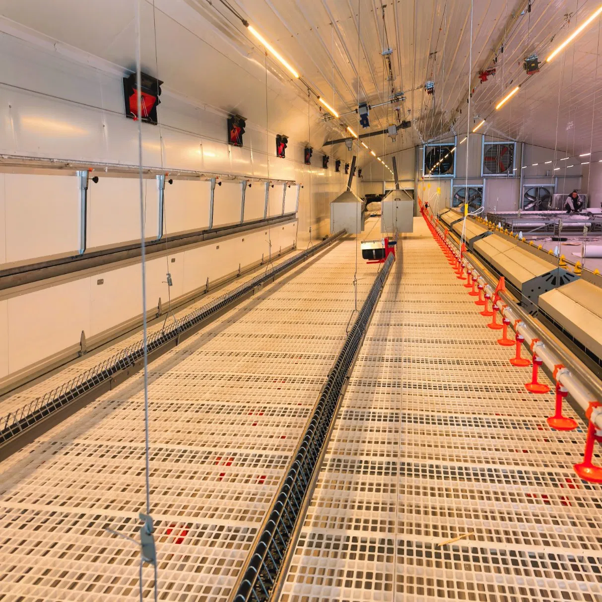 Poultry Farms Chicken Coop Chicken Floor Nest Poultry Mesh Floor Rearing Equipment