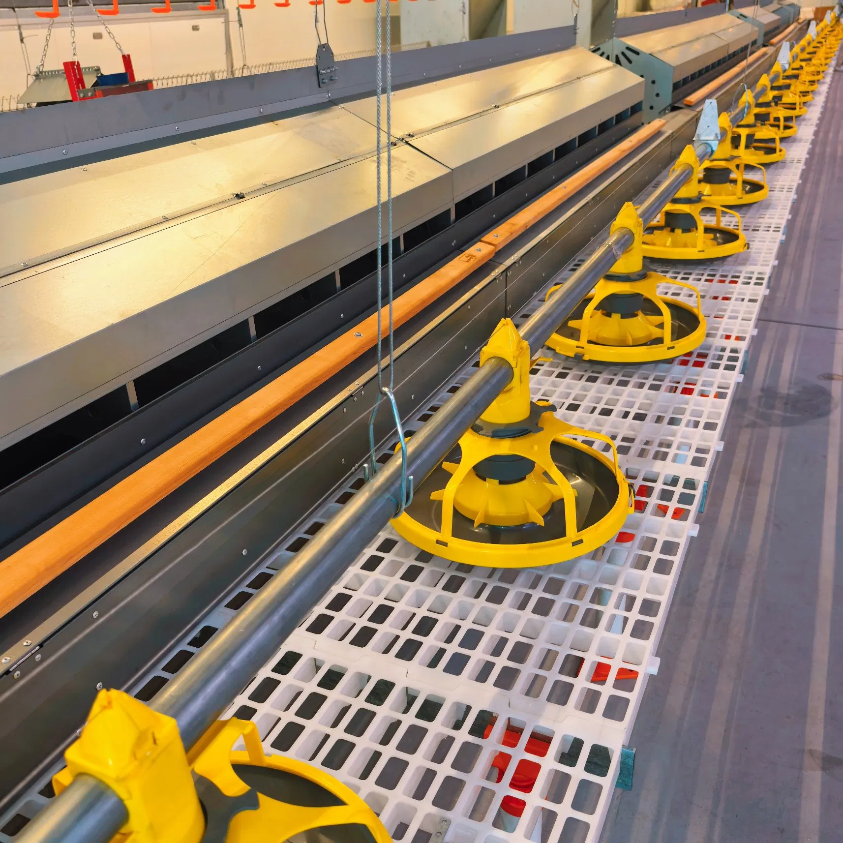 Poultry Farms Chicken Coop Chicken Floor Nest Poultry Mesh Floor Rearing Equipment