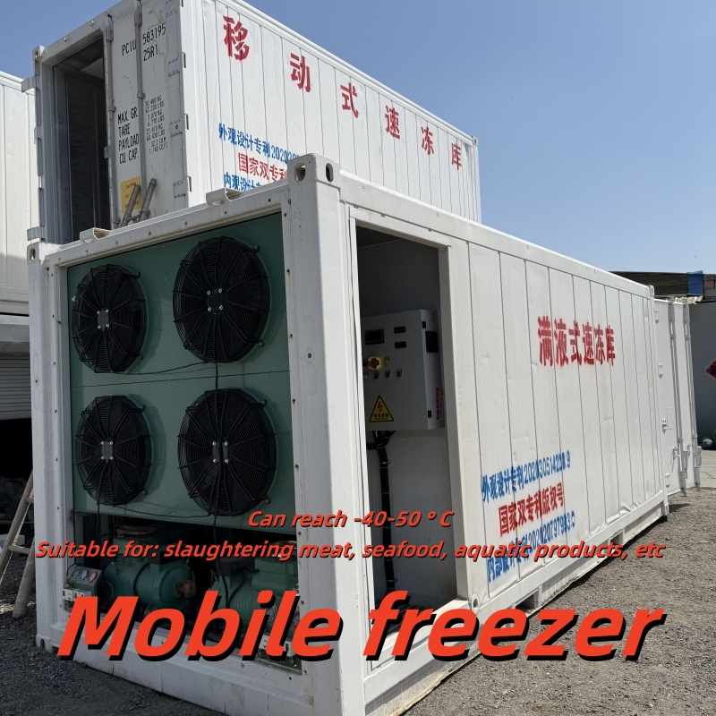Mobile Freezing Force Storage Compartment: Slaughtered Meat Fast Freshness Locking Equipment