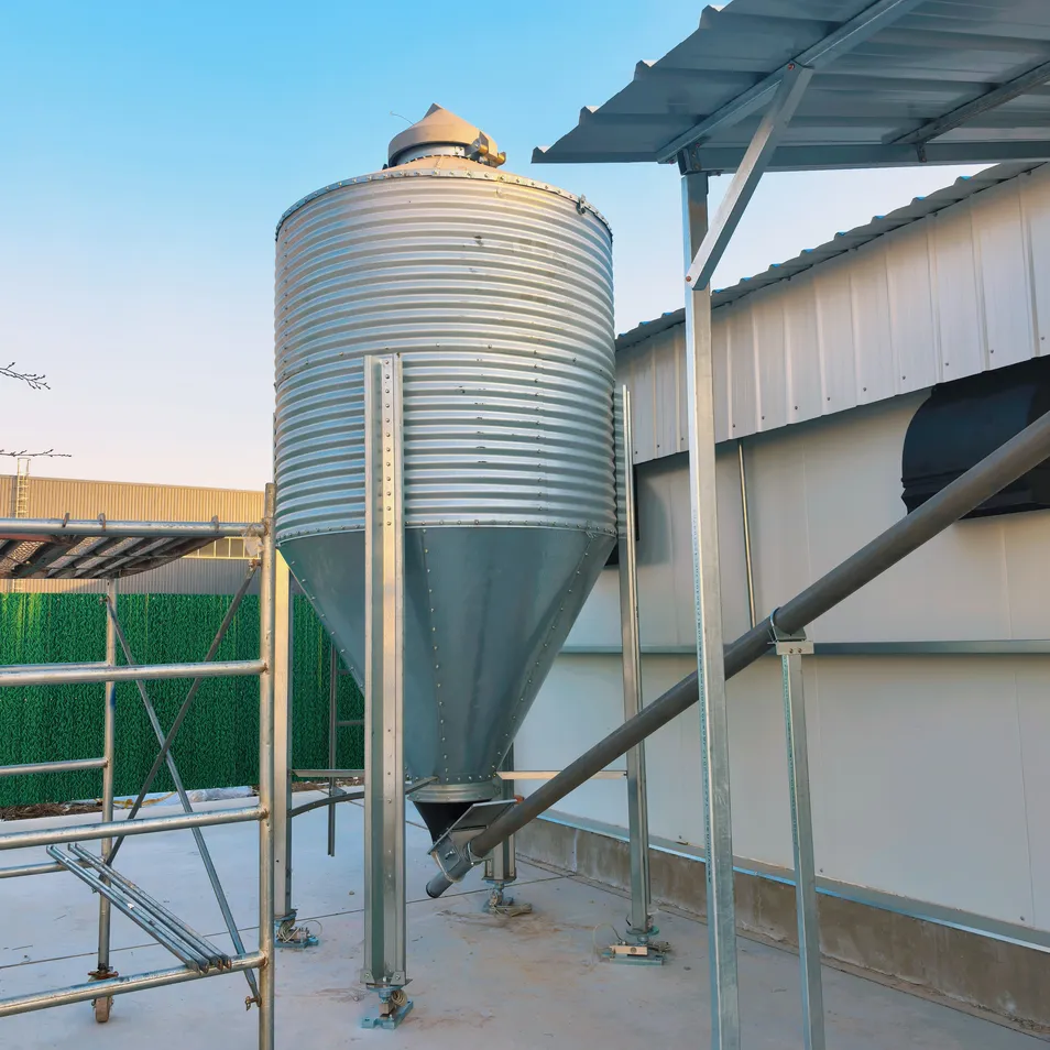 Feed Silo