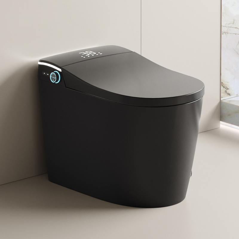 New Design Warm Heating Ceramic Automatic Wc Electronic Control Intelligent Black Smart Toilet