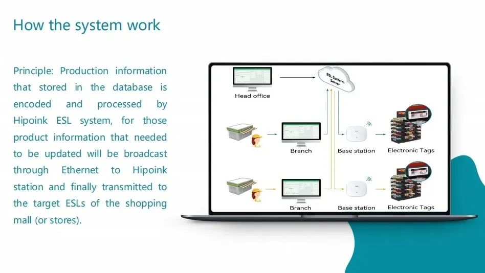 Electronic Shelf Label Display