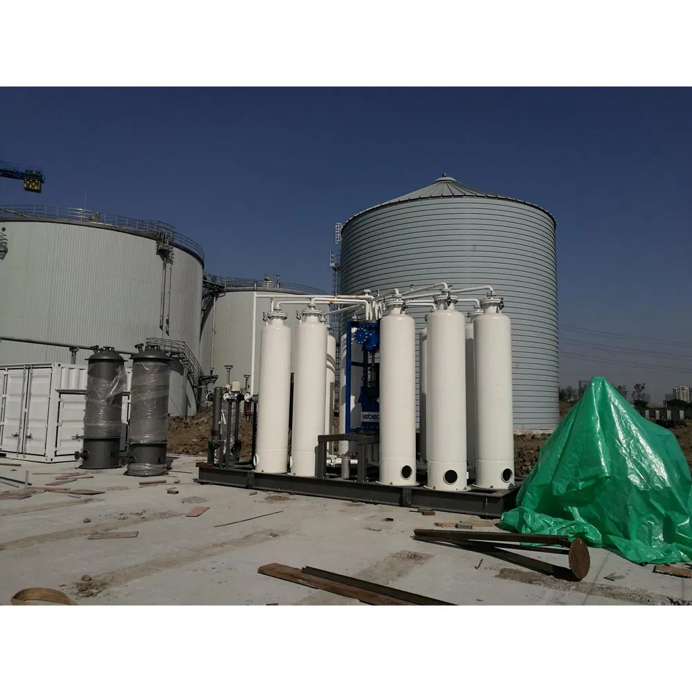 Excellent Performance Psa Skid-Mounted Biogas Upgrading Equipment for Dairy Factory