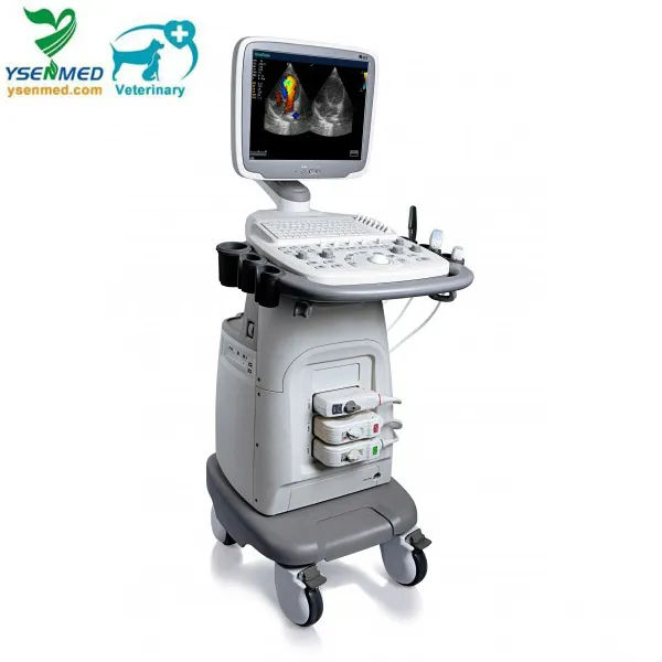 S11V 4D Color Doppler Ultrasound System
