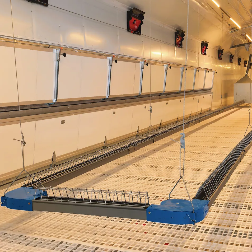 Automatic Feeding System