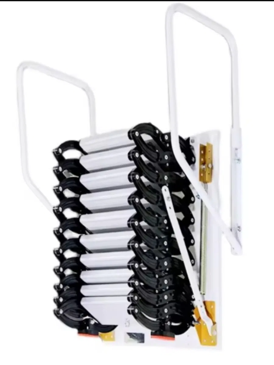 Wall Mounted Aluminum Ladder System for Outdoor Use