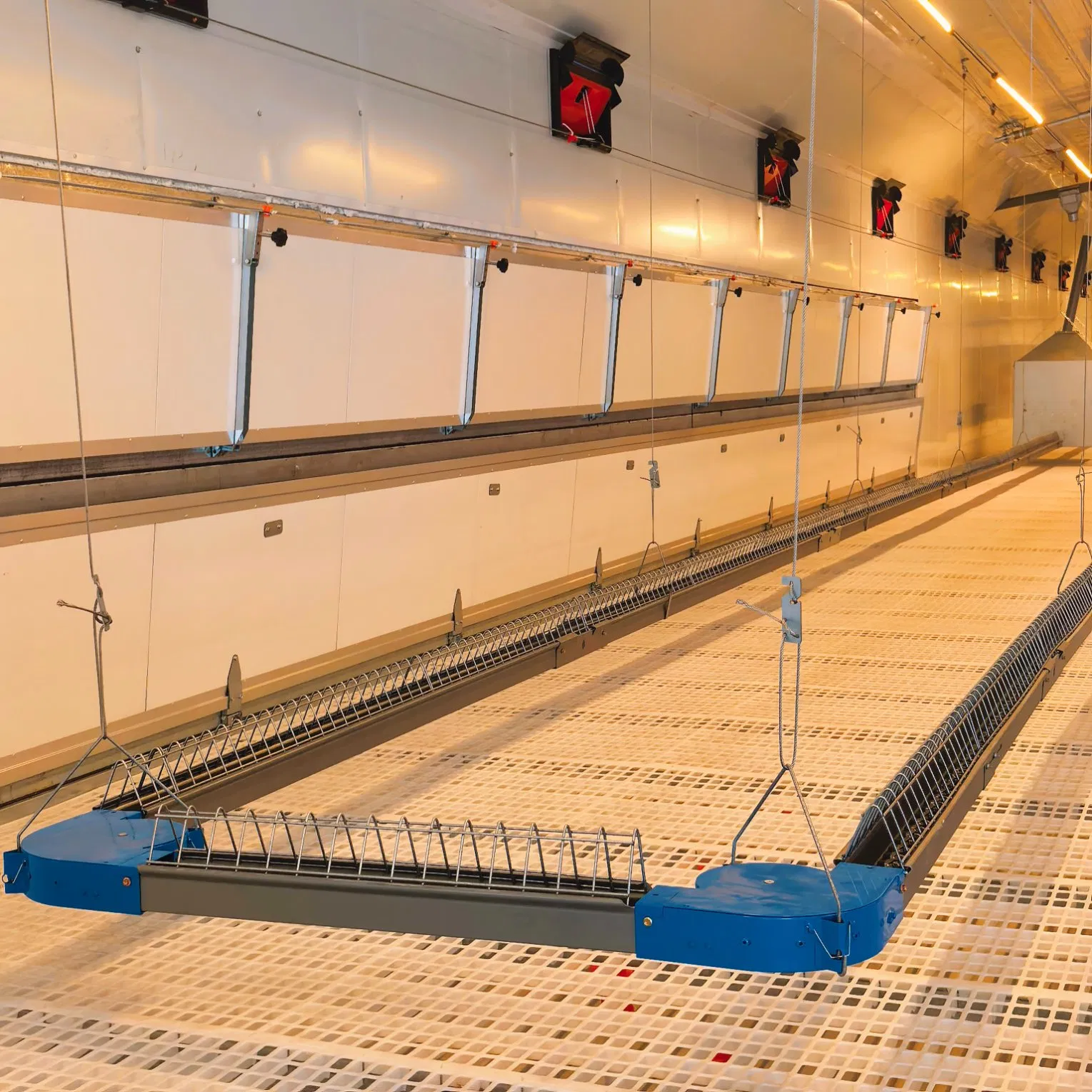 Poultry Farms Chicken Coop Chicken Floor Nest Poultry Mesh Floor Rearing Equipment