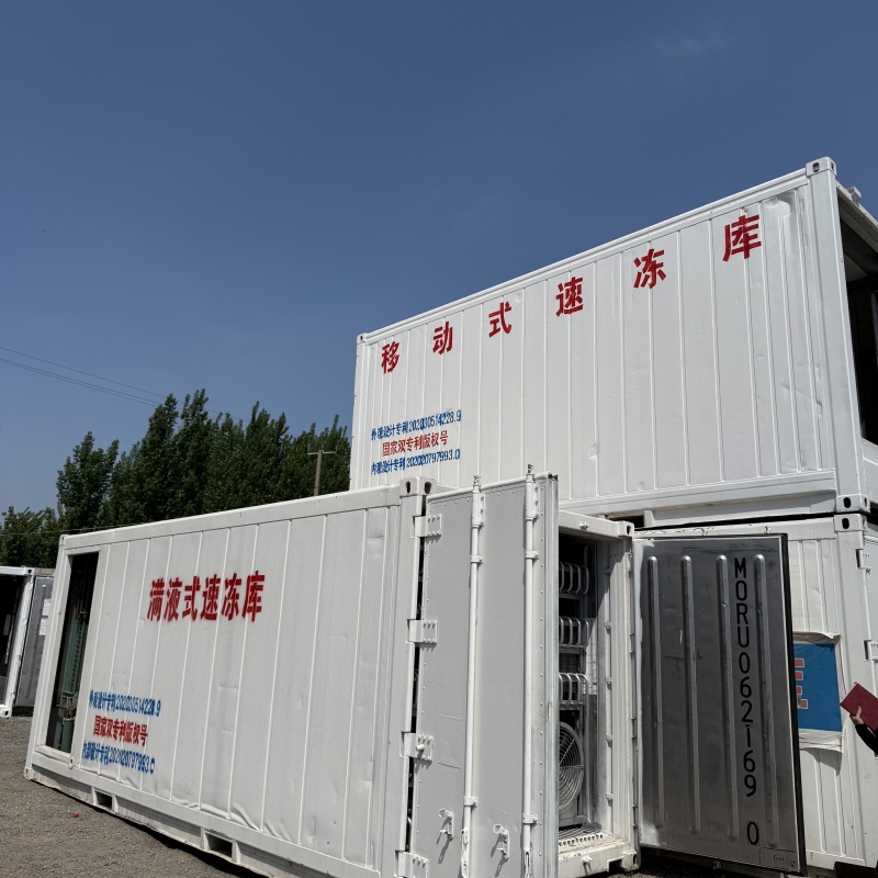 Mobile Freezing Force Storage Compartment: Slaughtered Meat Fast Freshness Locking Equipment