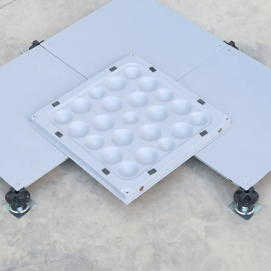 Access Raised Floor System