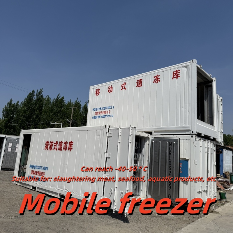 Mobile Freezing Force Storage Compartment: Slaughtered Meat Fast Freshness Locking Equipment