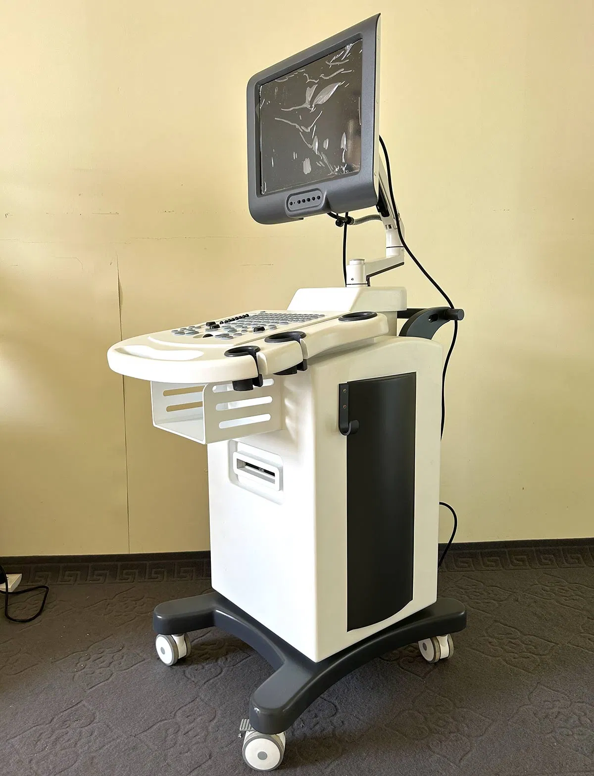 Mobile Trolley 3D 4D Ultrasound Colour Doppler Echocardiography System