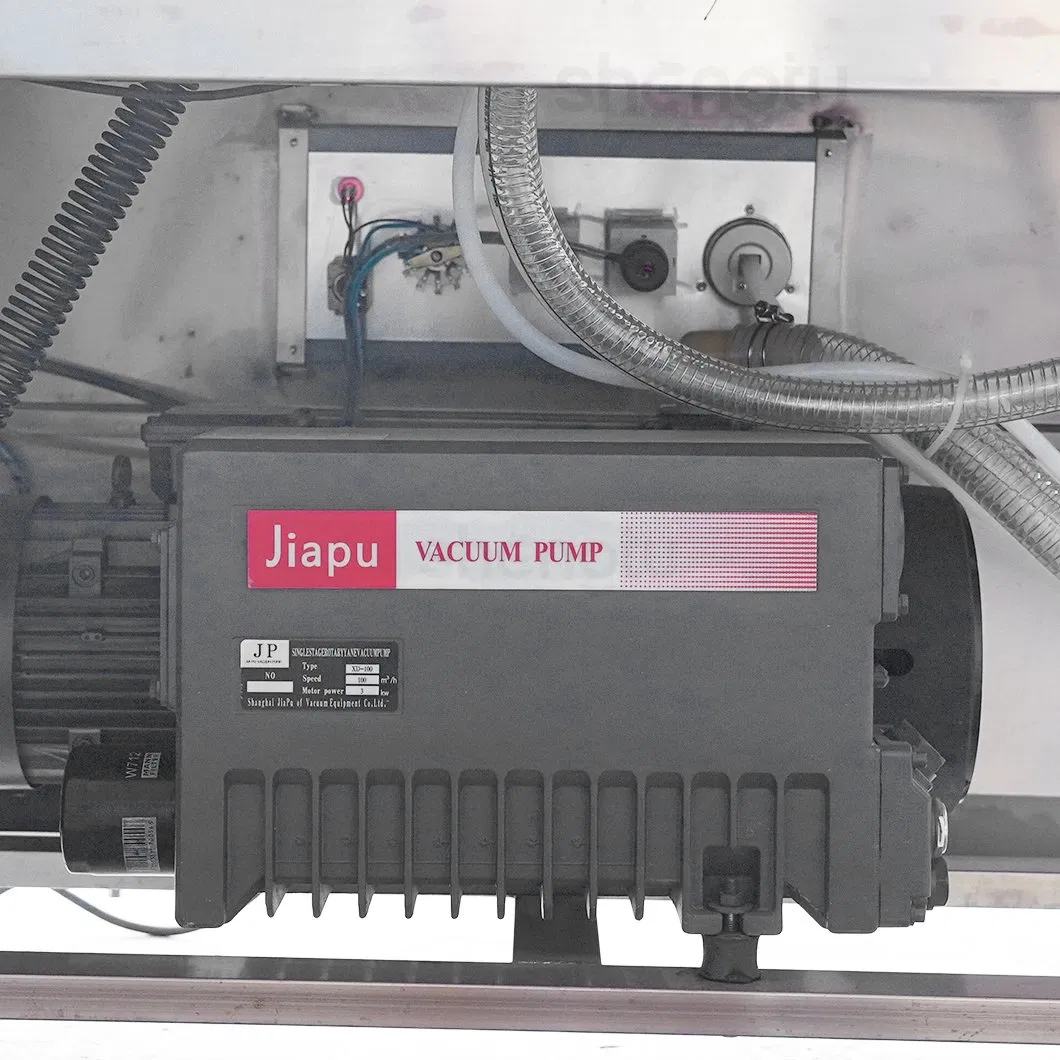 Sausage Meat Pork Chicken Vacuum Packaging Equipment with Date Coding