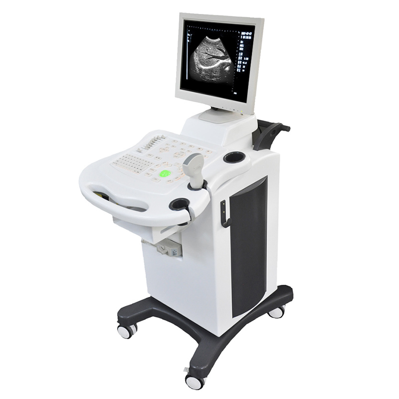 Mobile Trolley 3D 4D Ultrasound Colour Doppler Echocardiography System