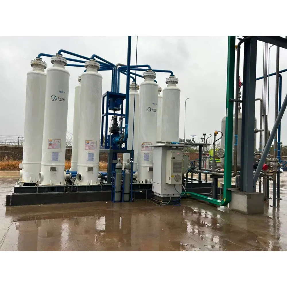 Excellent Performance Psa Skid-Mounted Biogas Upgrading Equipment for Dairy Factory