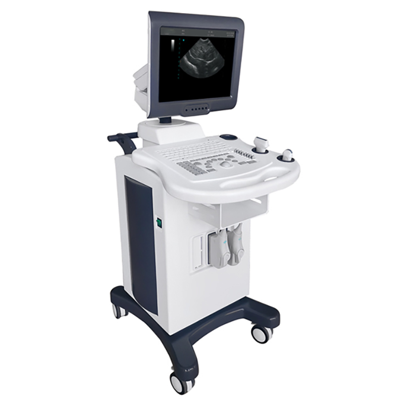 Mobile Trolley 3D 4D Ultrasound Colour Doppler Echocardiography System
