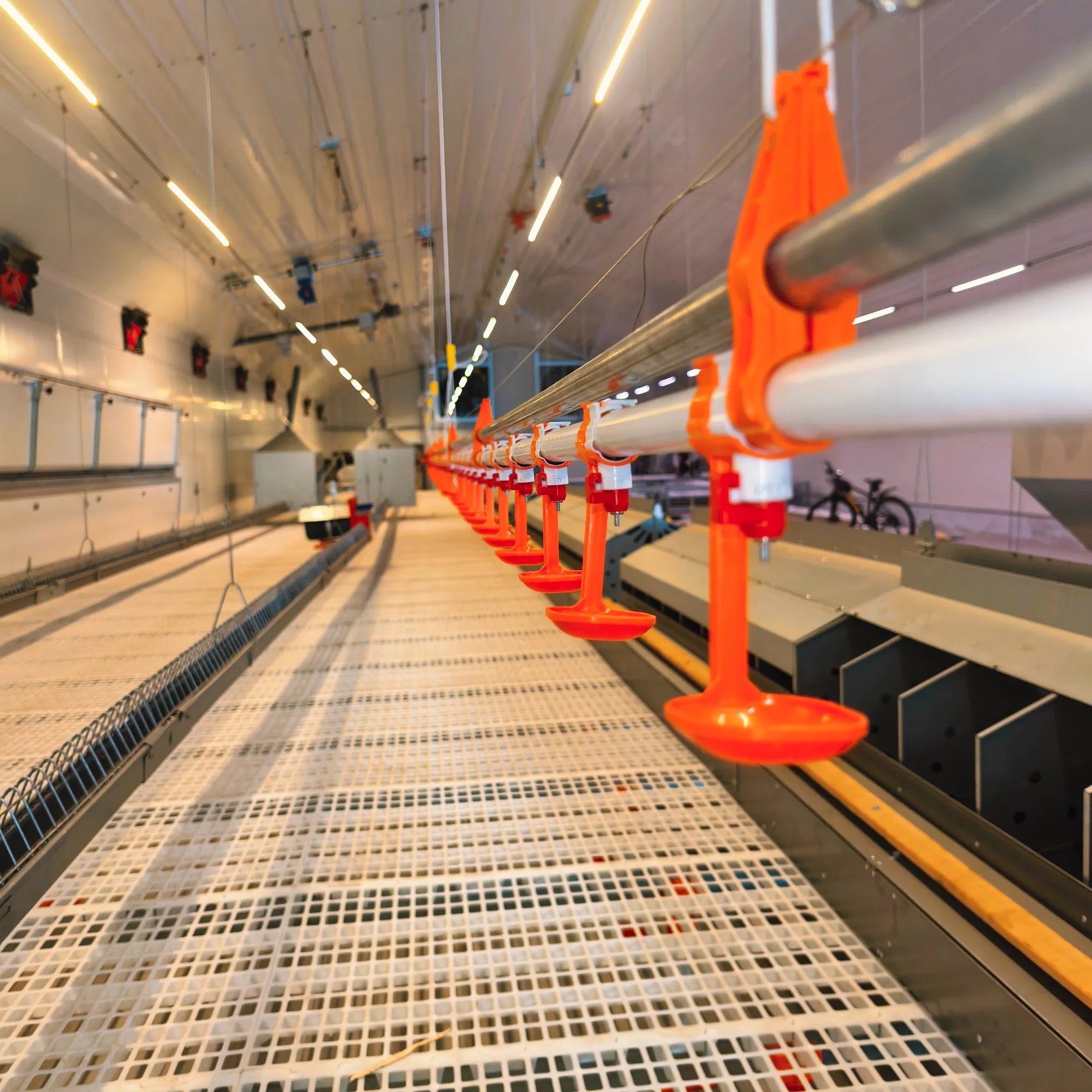 Poultry Farms Chicken Coop Chicken Floor Nest Poultry Mesh Floor Rearing Equipment