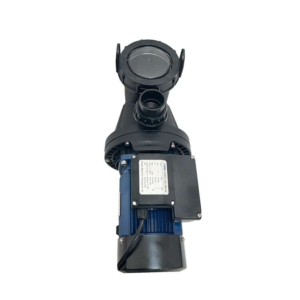 Factory Price Nsm 0.5HP Blue Motor Swimming Pool Equipment