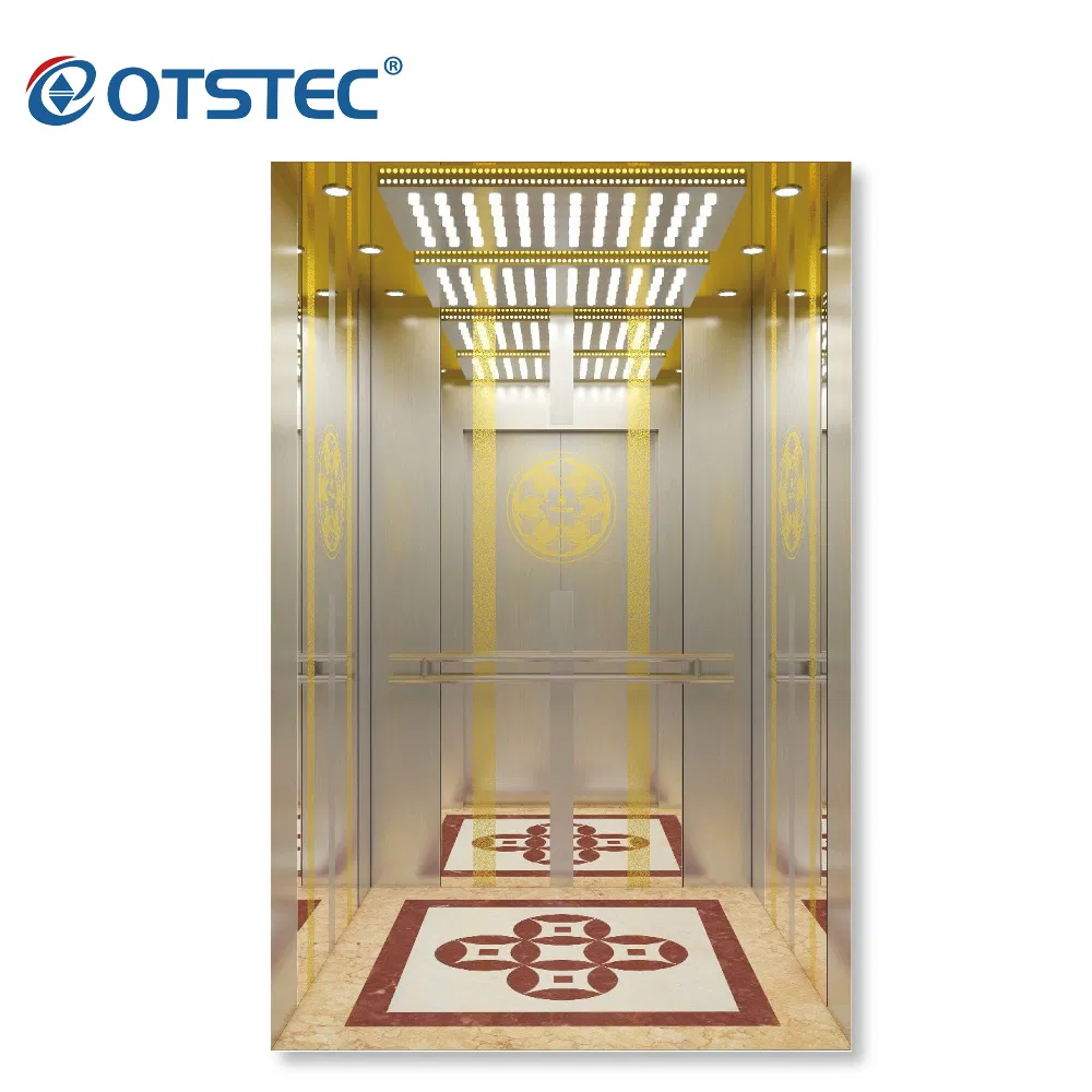 Passenger Elevator with Gearless Traction Machine, Support Professional Sevice