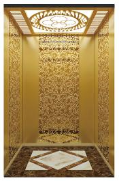 CE ISO Approved 300-350kg Affordable Shaftless Home Hydraulic Lift Elevator