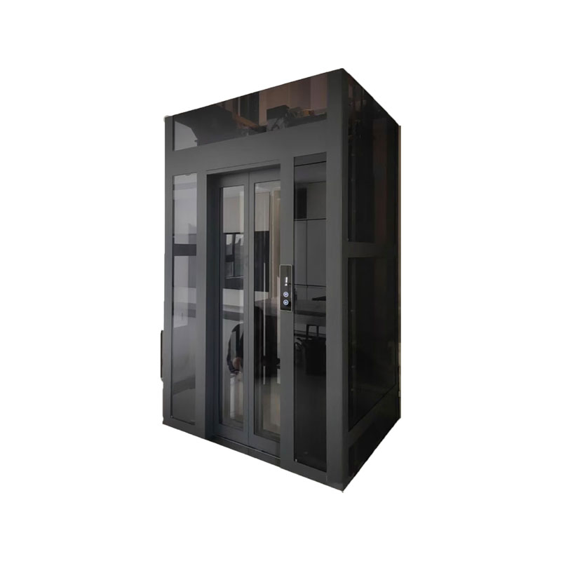 2-6 Floor Traction Gantry Crane Elevator Small Villa Elevator for Home-Use