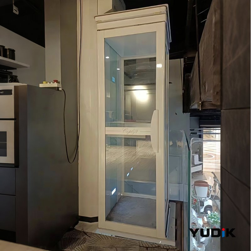 Reliable Residential Elevator for Villa with Annual Maintenance Service