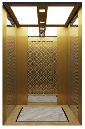 CE ISO Approved 300-350kg Affordable Shaftless Home Hydraulic Lift Elevator