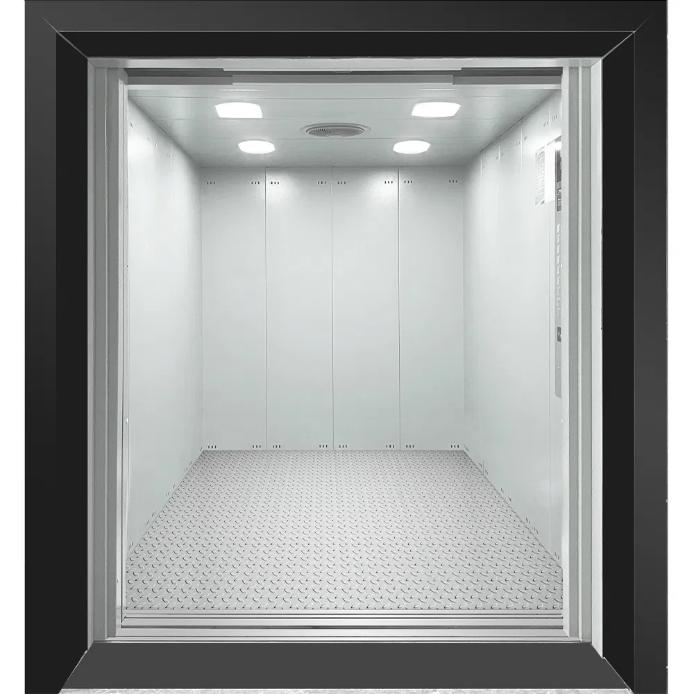 China Freight Car Goods Service Cargo Home Lift Passenger Elevator