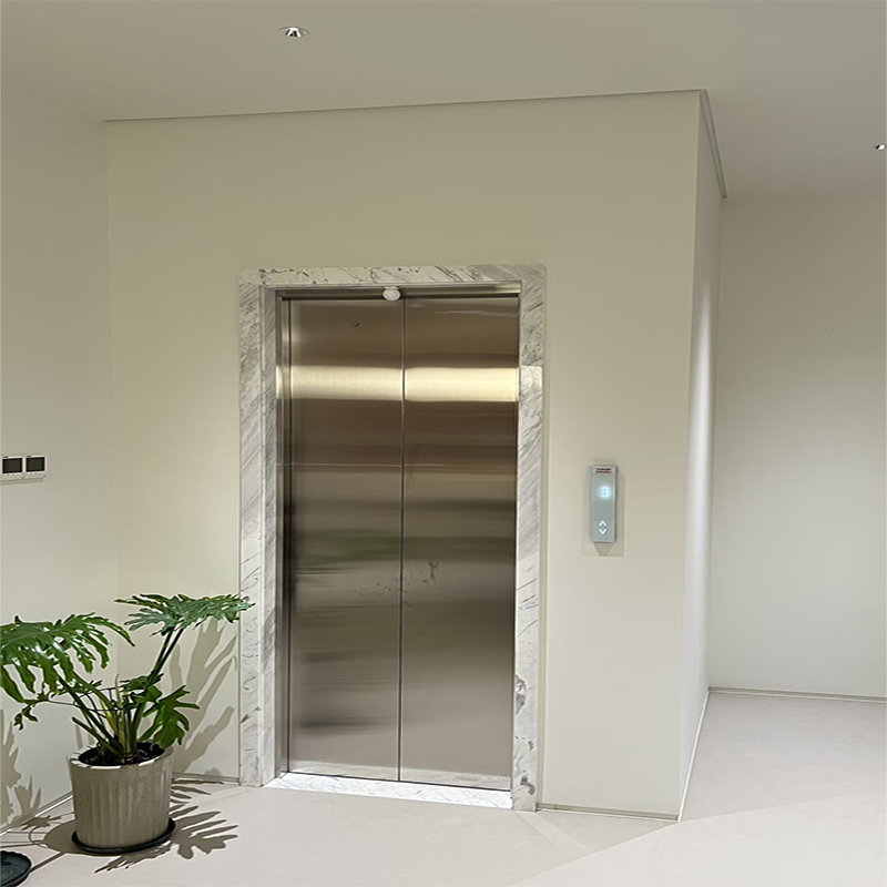 2-6 Floor Traction Gantry Crane Elevator Small Villa Elevator for Home-Use