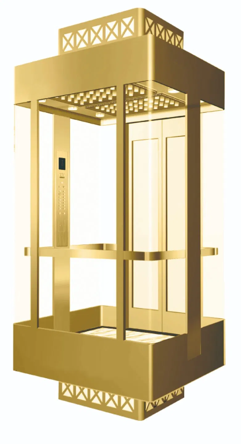 Luxury Passenger Elevator Villa Lifts Safety Service with Excellent Service