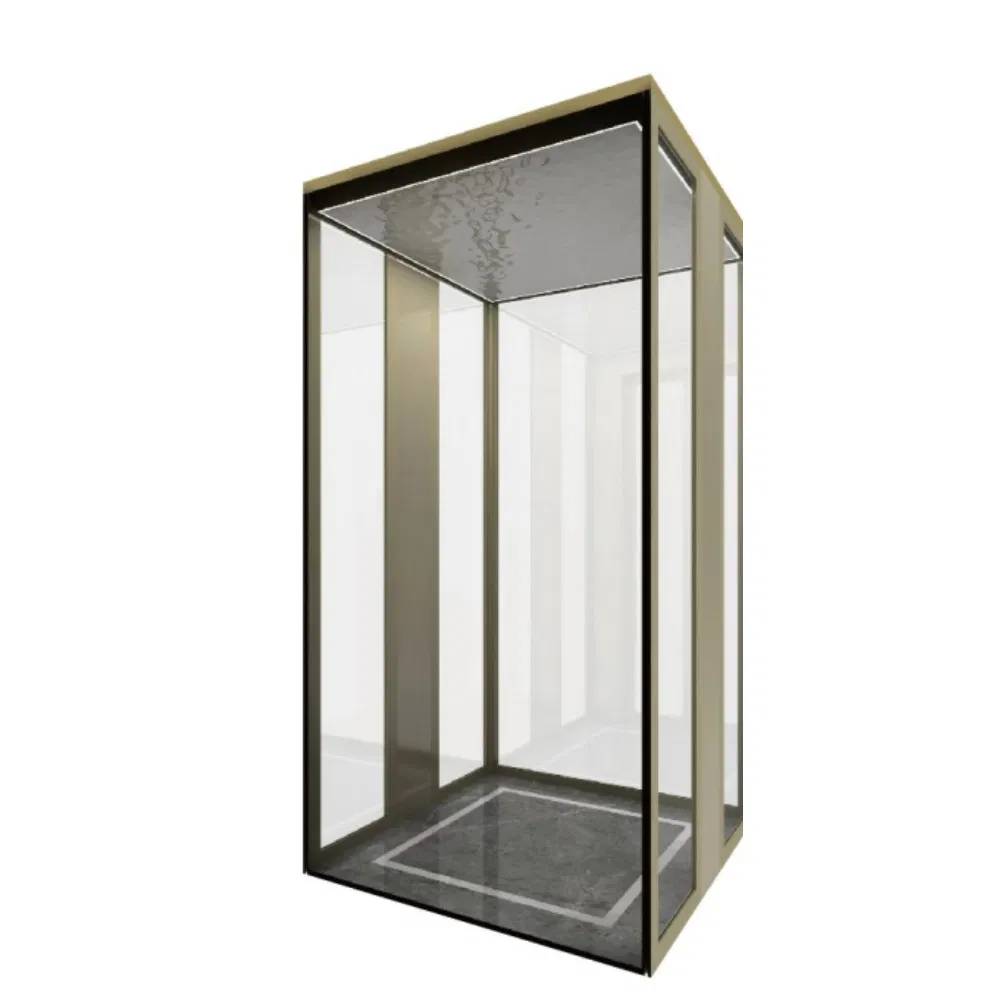 Custom Indoor Residential Lift Elevator 5 Persons Traction Driven Elevator Home Elevator