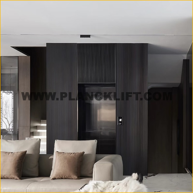 Simple Home Elevator with Monarch Vvvf Controller for Families